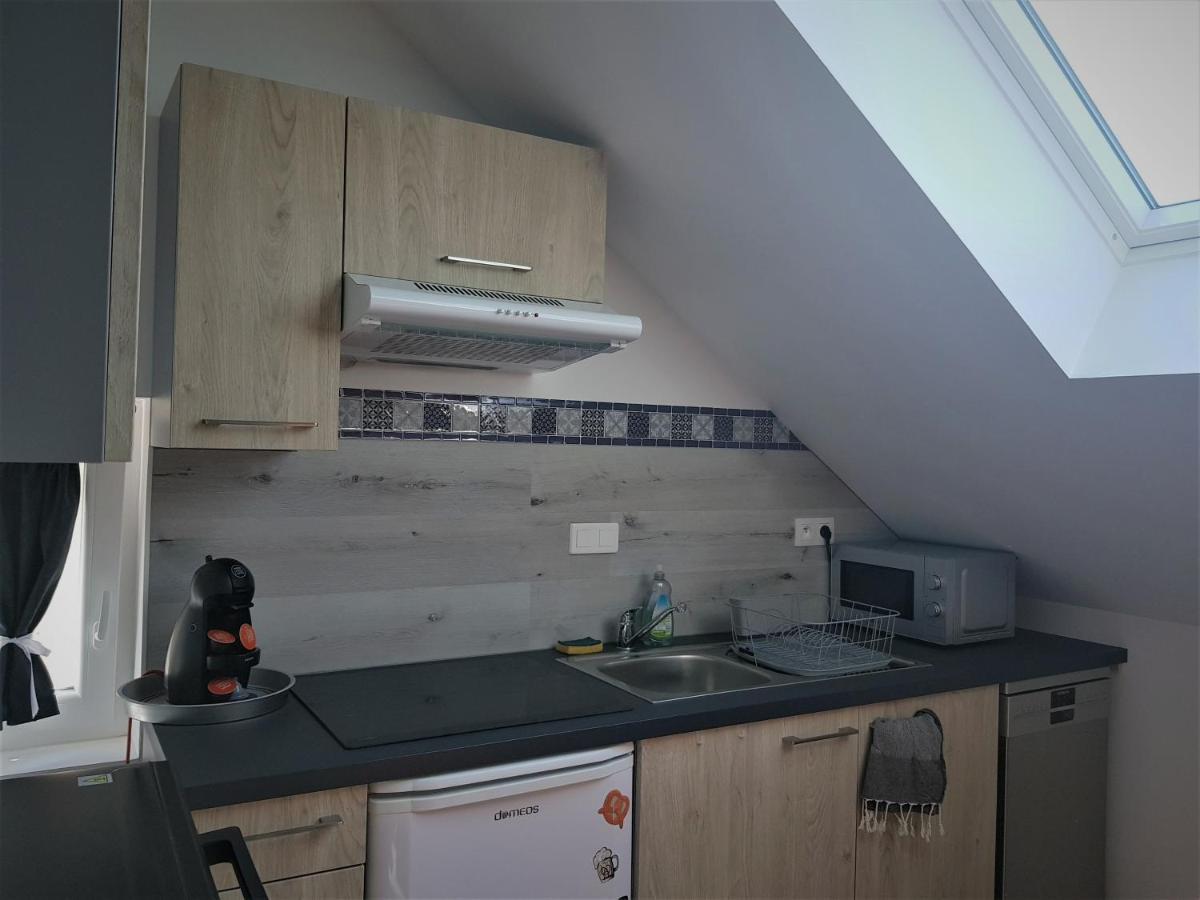 Au Gre De L'Ill "Les Toits D'Horbourg" Apartman Kültér fotó