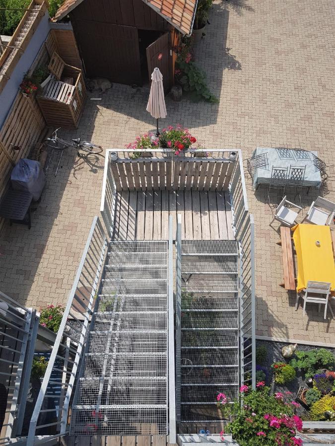 Au Gre De L'Ill "Les Toits D'Horbourg" Apartman Kültér fotó