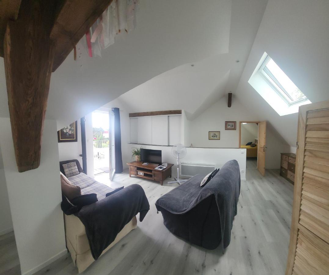 Au Gre De L'Ill "Les Toits D'Horbourg" Apartman Kültér fotó